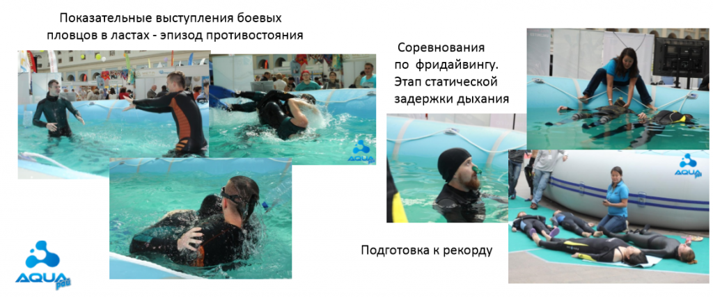 Показательные выступления